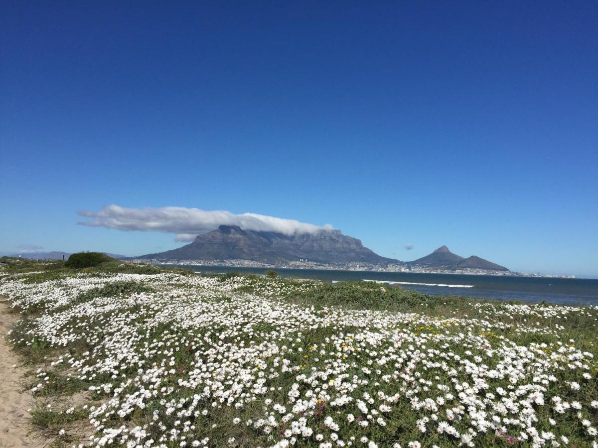 Villa Atlantic Blue At Pilots Cape Town